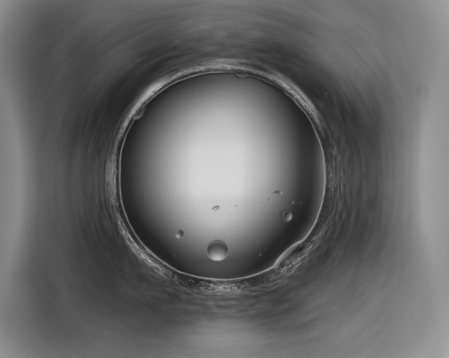 X0000116550911200912101411