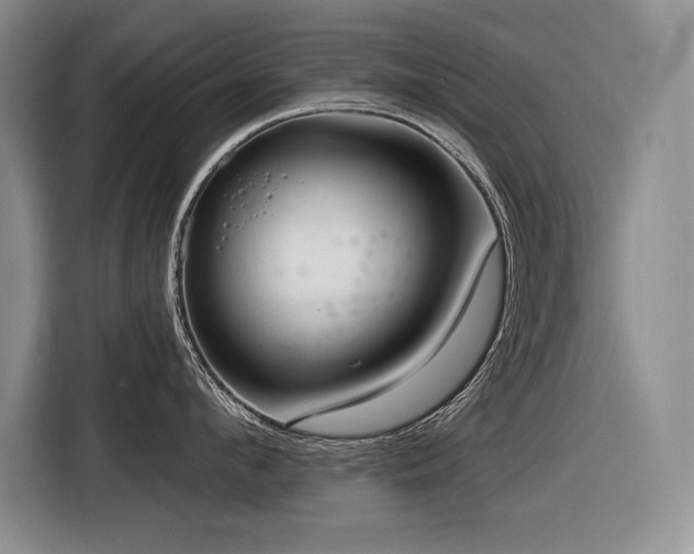 X0000116550912200912101411