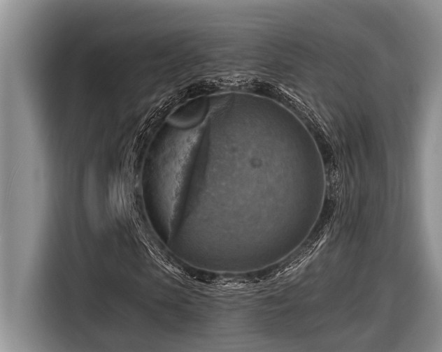 X0000116550913200912101410