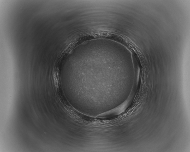 X0000116550915200912101410