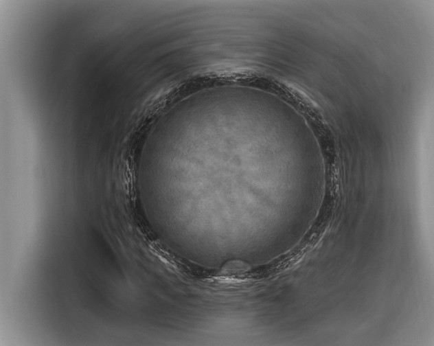 X0000116550917200912101410