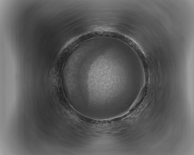 X0000116550919200912101410