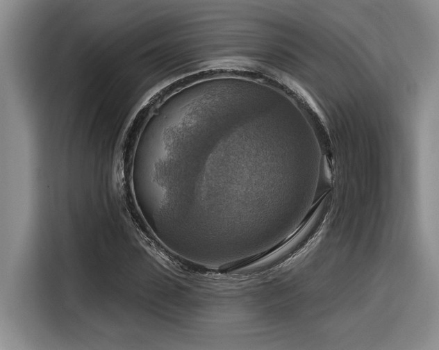 X0000116550923200912101410