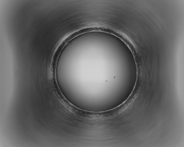 X0000116550927200912101410
