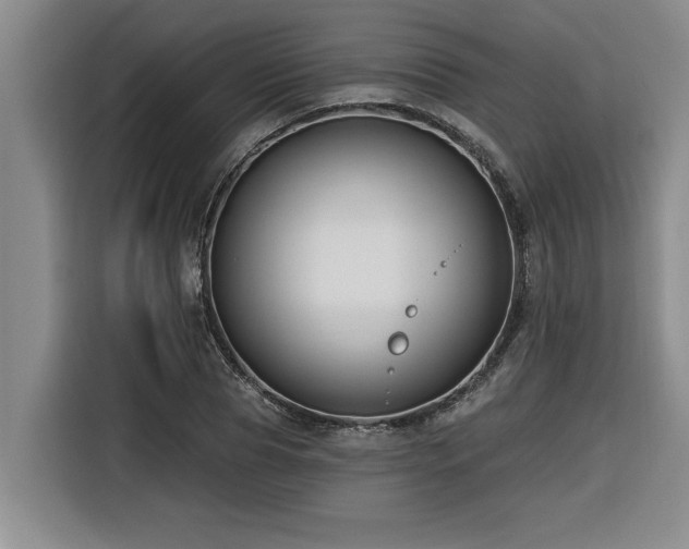 X0000116550929200912101410