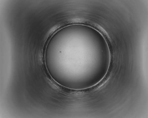 X0000116550930200912101410