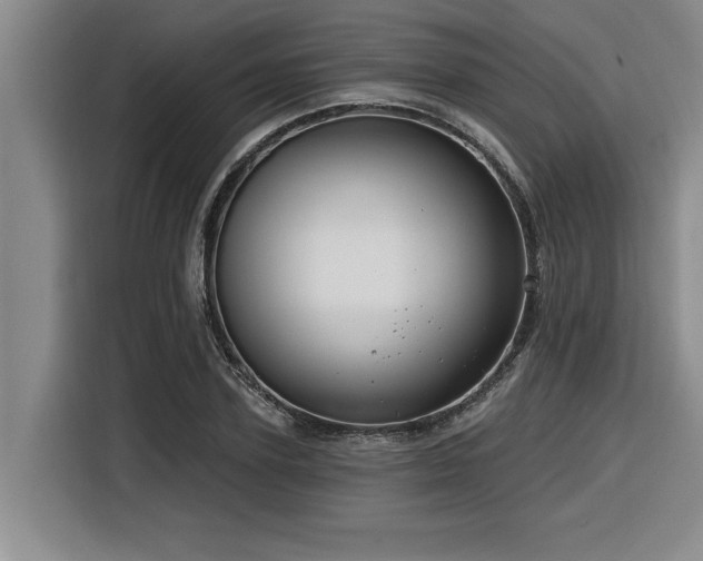 X0000116550931200912101410
