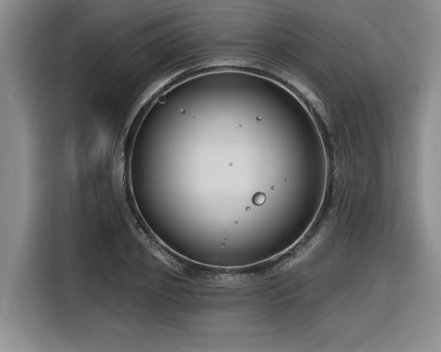 X0000116550933200912101410