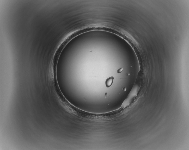 X0000116550934200912101410