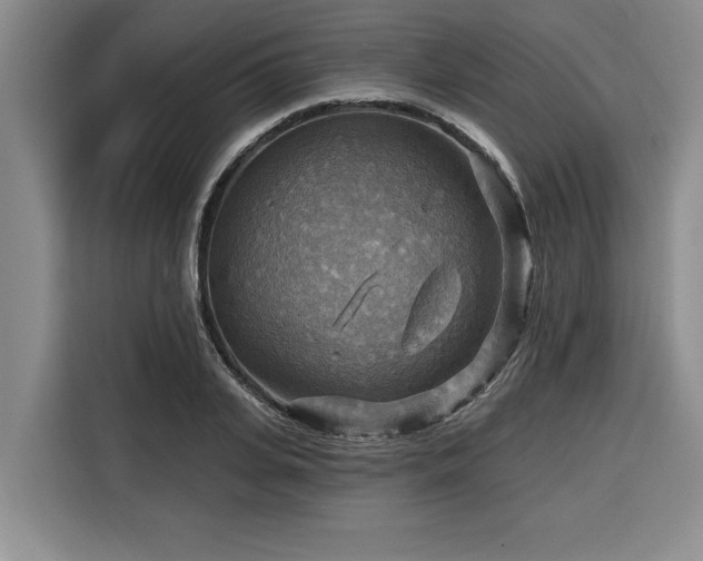 X0000116550935200912101410