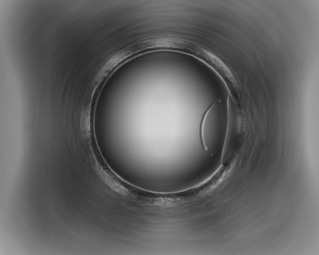 X0000116550938200912101410