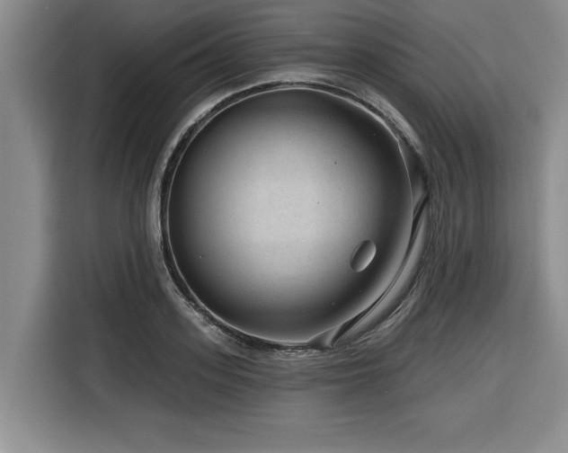 X0000116550939200912101410