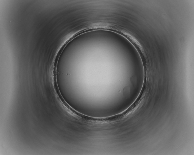 X0000116550941200912101410