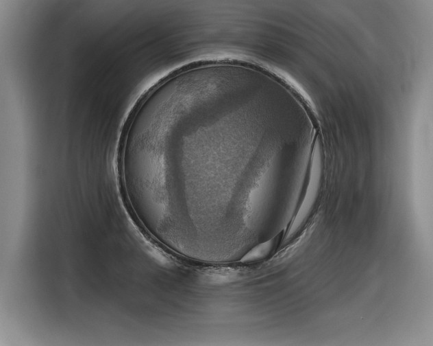 X0000116550943200912101410