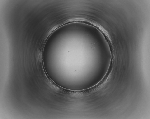 X0000116550945200912101410