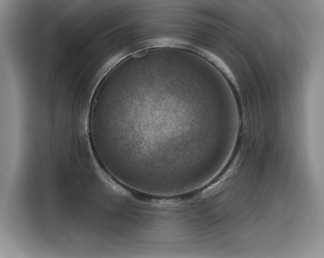 X0000116550946200912101410