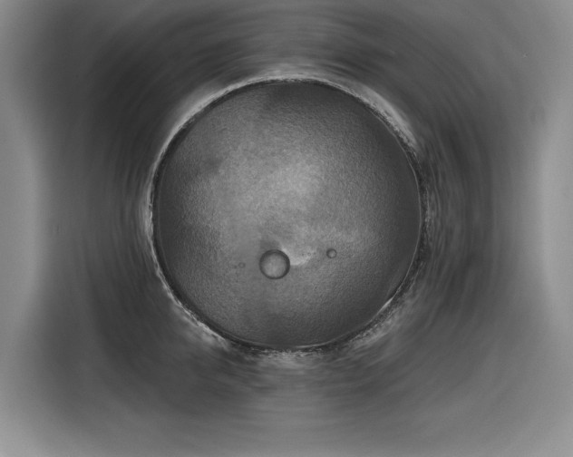 X0000116550950200912101410