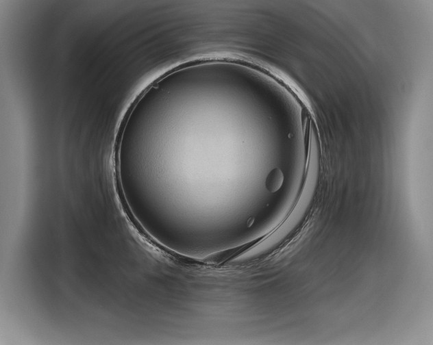 X0000116550951200912101410