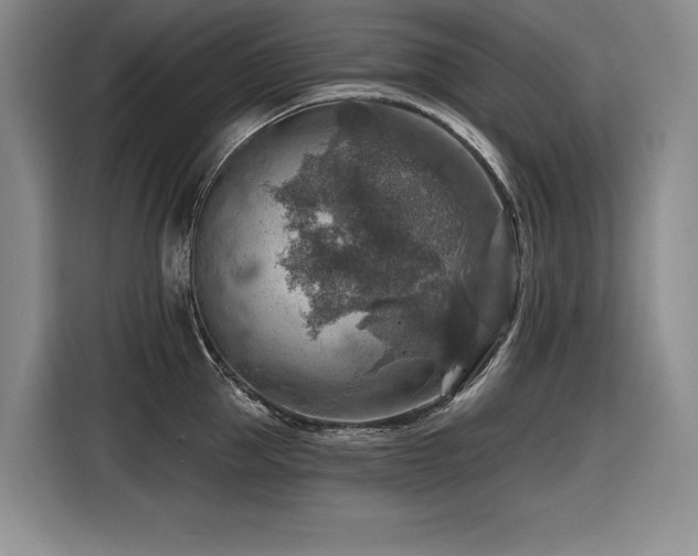 X0000116550953200912101410