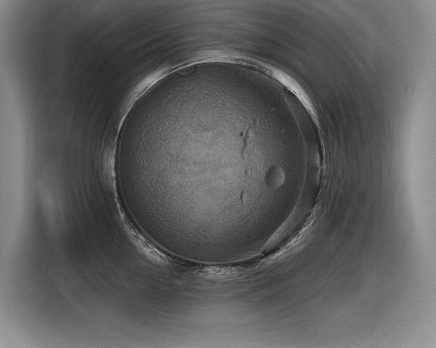 X0000116550954200912101410