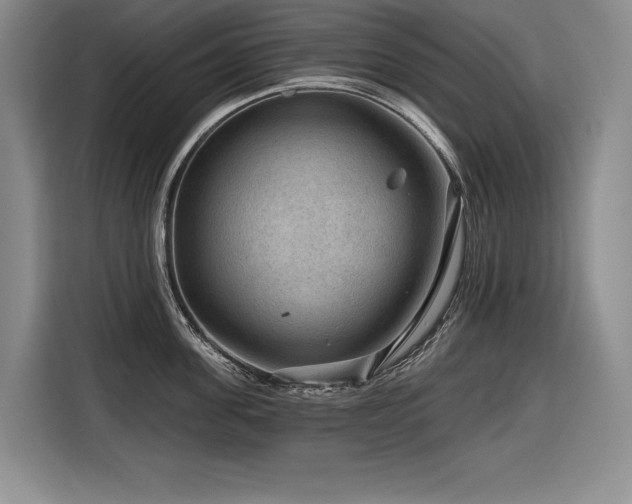 X0000116550955200912101410