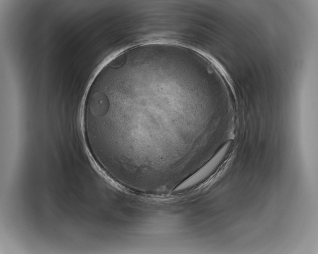 X0000116550957200912101411