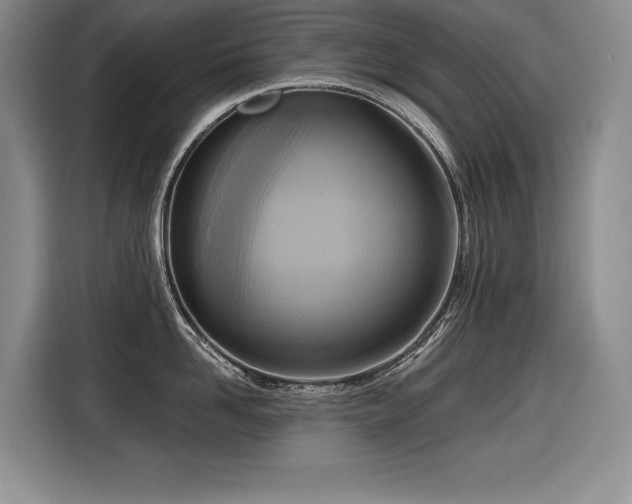 X0000116550958200912101411