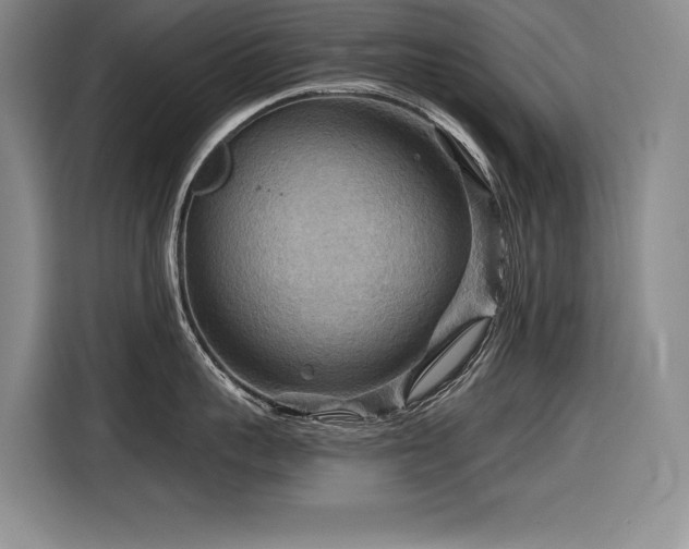 X0000116550959200912101411