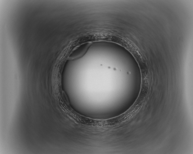 X0000116550961200912101410