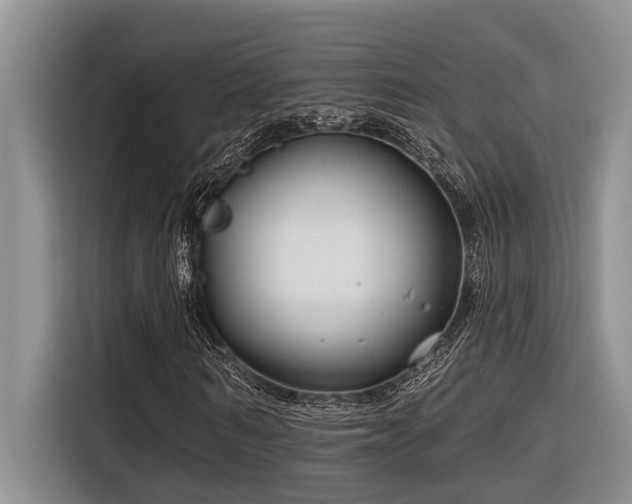 X0000116550962200912101410