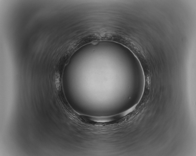 X0000116550963200912101410