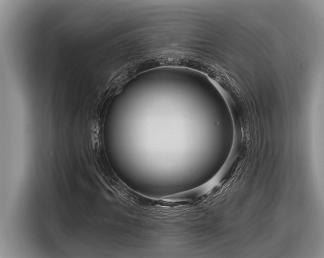 X0000116550964200912101410