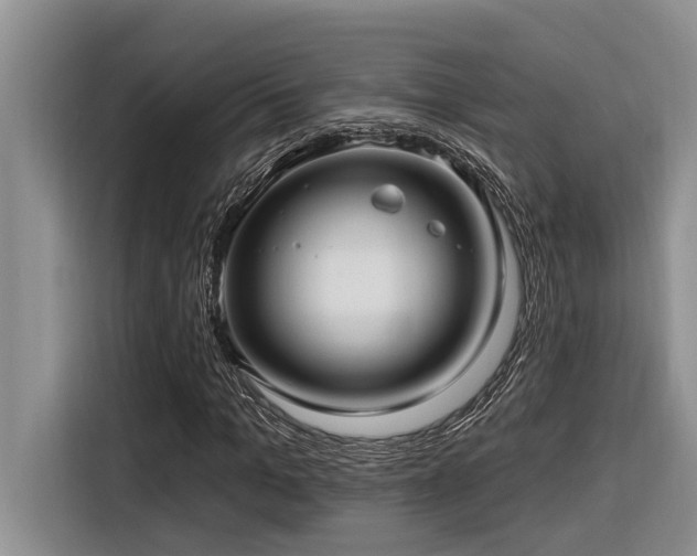 X0000116550965200912101410
