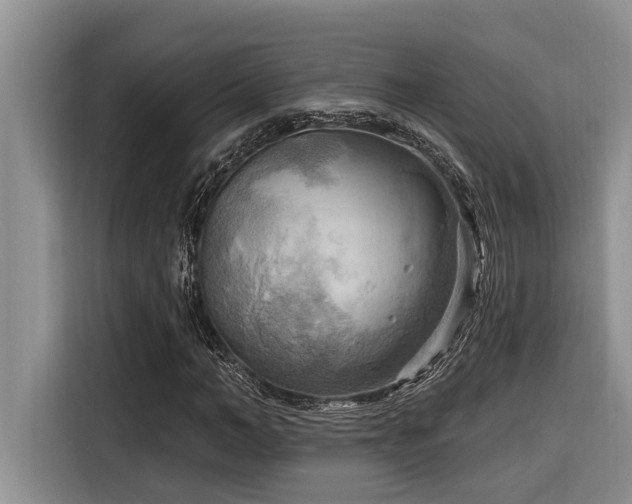 X0000116550966200912101410