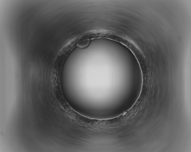 X0000116550967200912101410