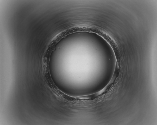 X0000116550968200912101410
