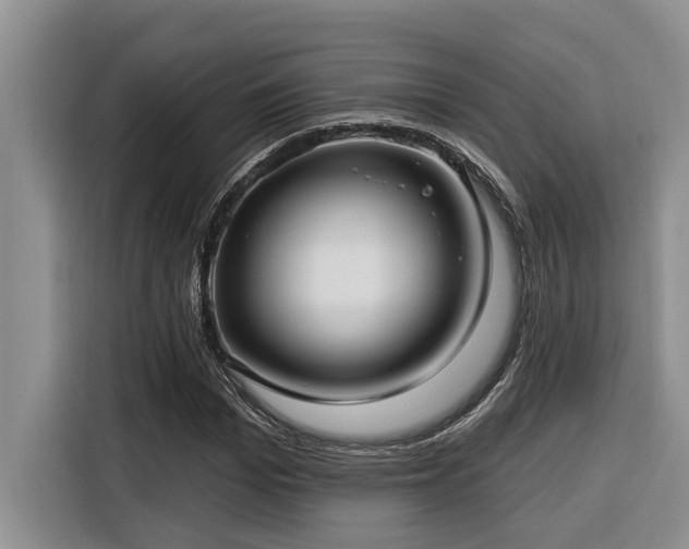 X0000116550969200912101410