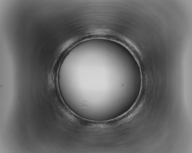 X0000116550970200912101410