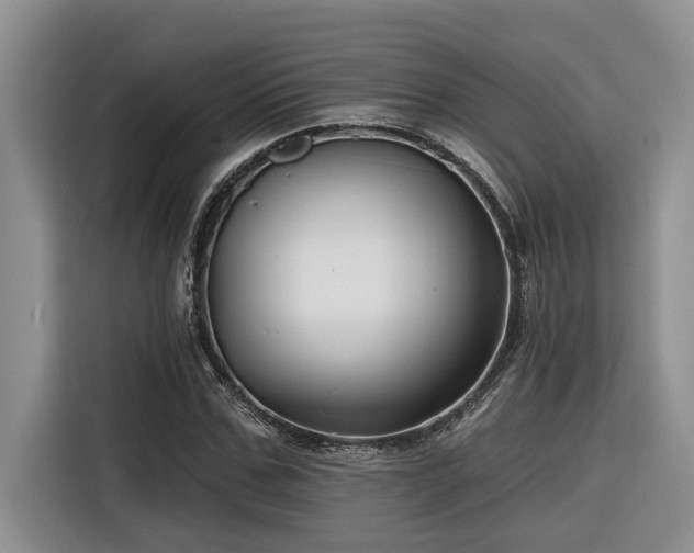 X0000116550971200912101410