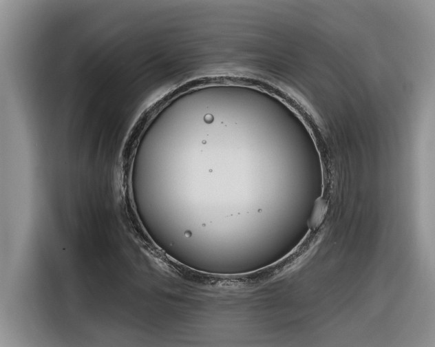 X0000116550974200912101410