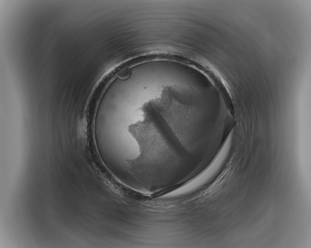 X0000116550975200912101410