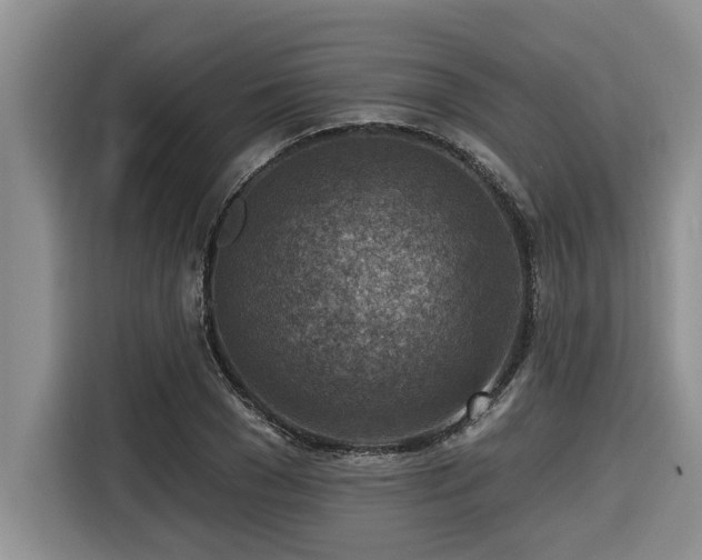 X0000116550977200912101410