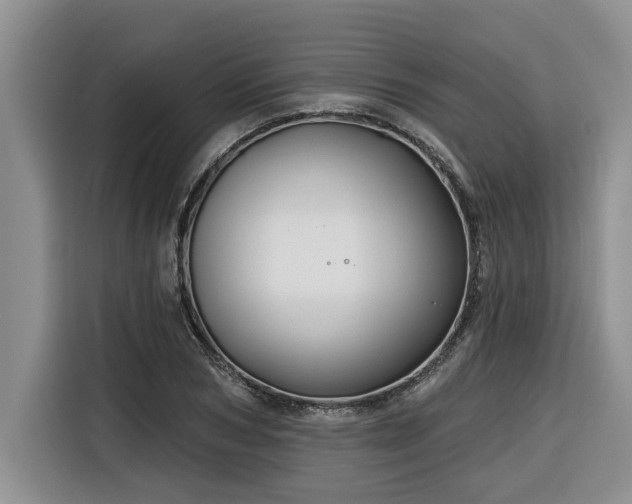 X0000116550978200912101410