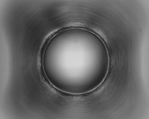 X0000116550979200912101410