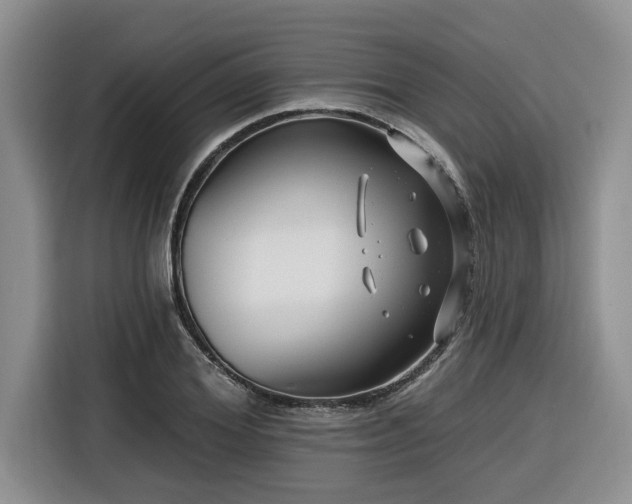 X0000116550980200912101410