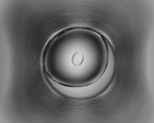 X0000116550981200912101410