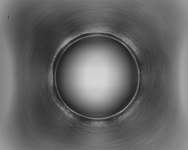 X0000116550982200912101410