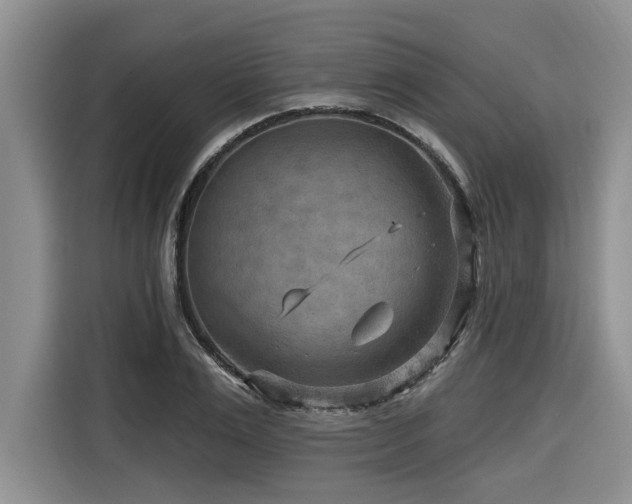 X0000116550983200912101410