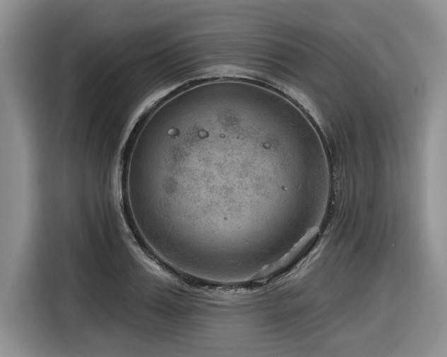 X0000116550987200912101410