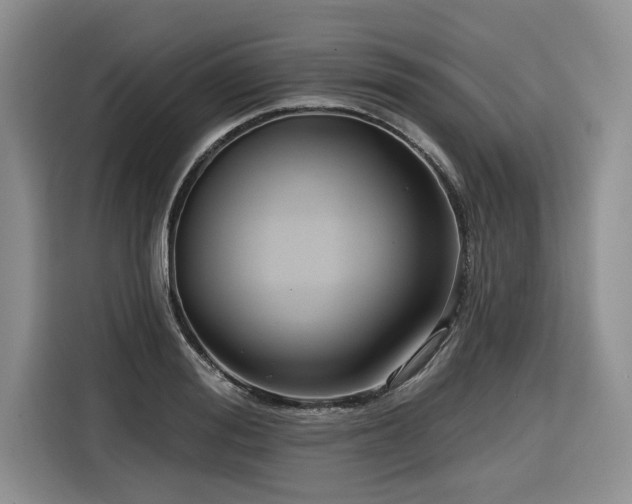 X0000116550988200912101410